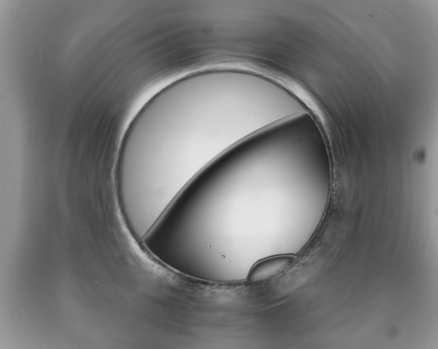 X0000090760951200707201051