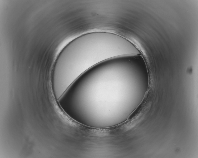 X0000090760952200707201051