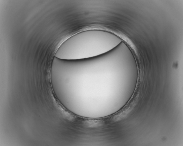 X0000090760953200707201051
