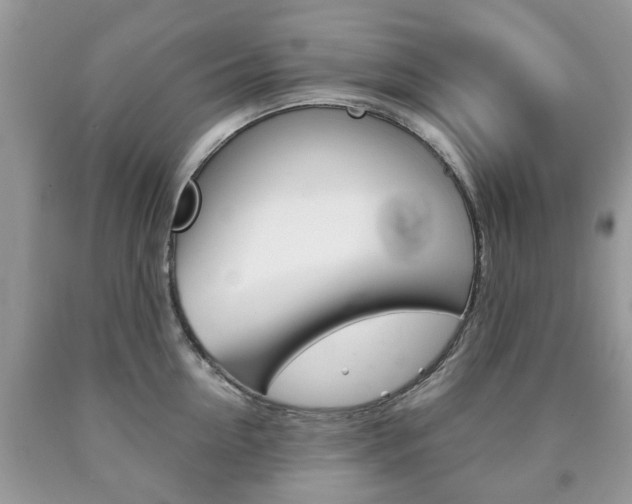 X0000090760954200707201051