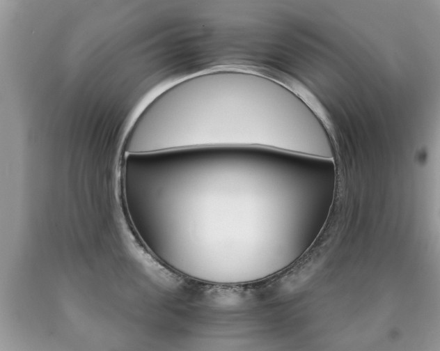 X0000090760955200707201051