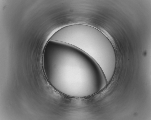 X0000090760956200707201051
