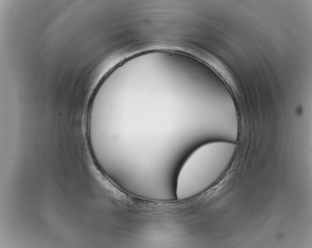 X0000090760958200707201051