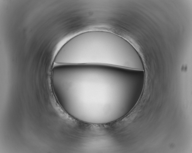 X0000090760960200707201051