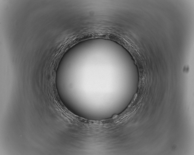 X0000090760961200707201050