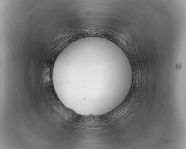 X0000090760962200707201050
