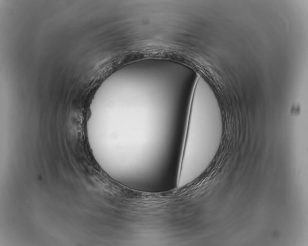 X0000090760964200707201050