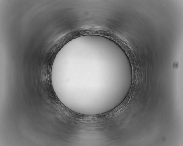 X0000090760966200707201050