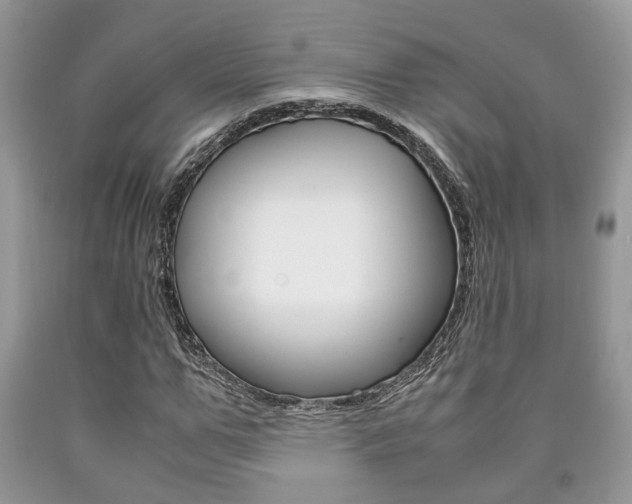 X0000090760967200707201050
