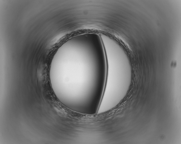 X0000090760968200707201050