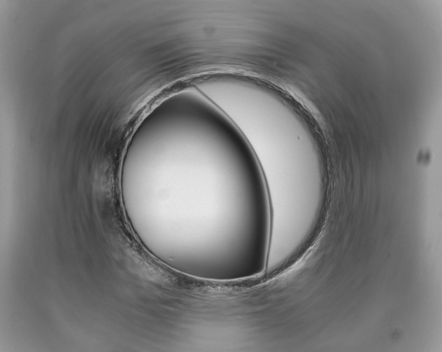 X0000090760969200707201050