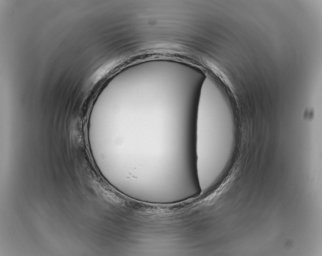 X0000090760970200707201050
