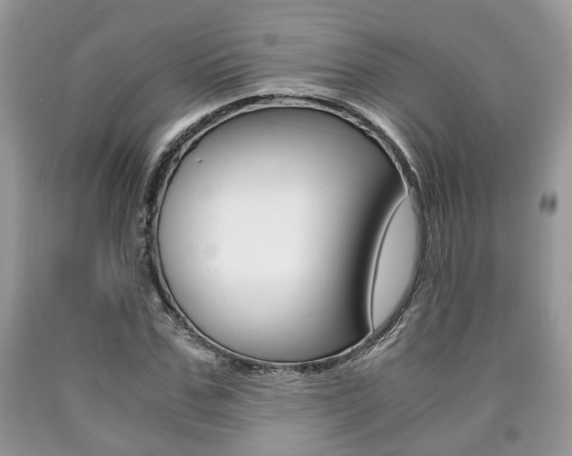 X0000090760971200707201050