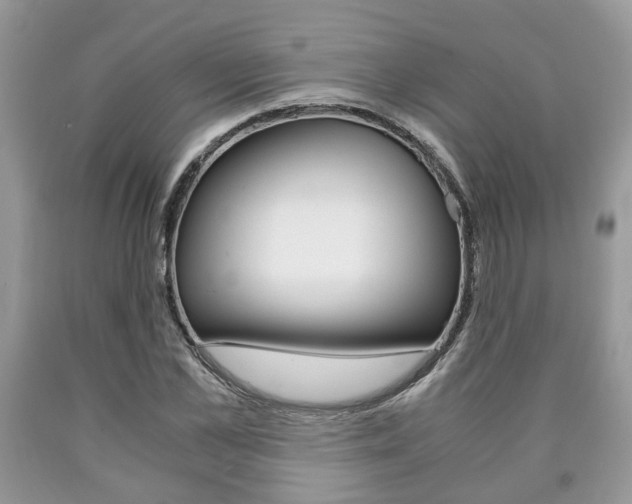 X0000090760973200707201050