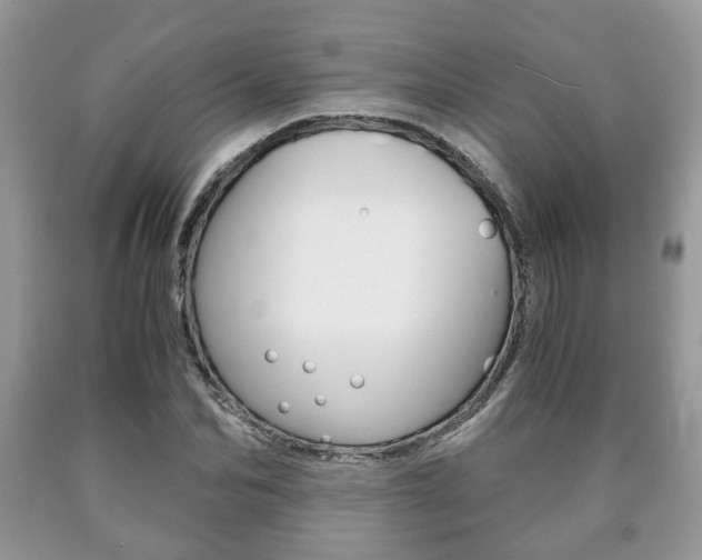 X0000090760974200707201050