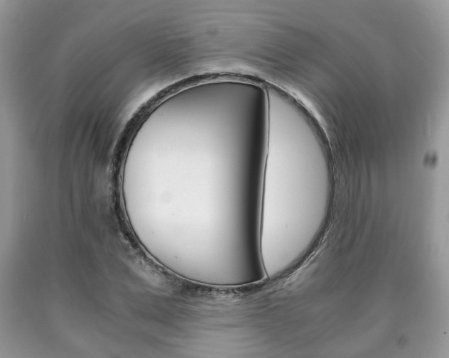 X0000090760975200707201050