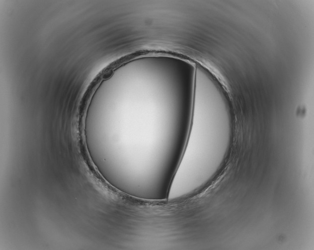 X0000090760976200707201050