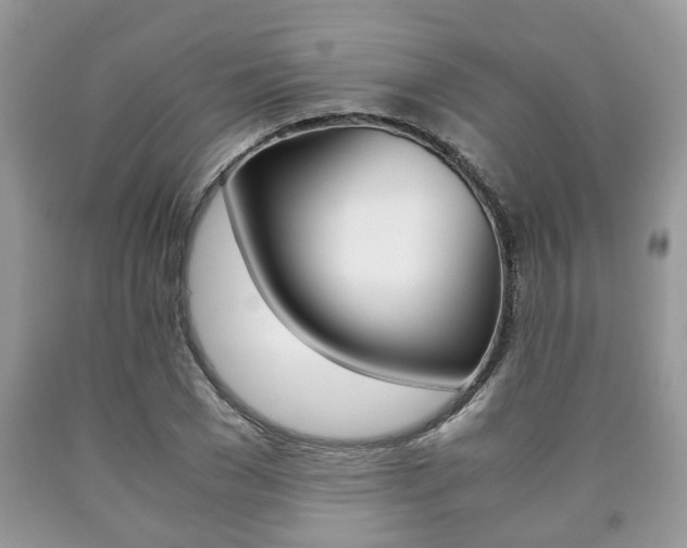 X0000090760977200707201050