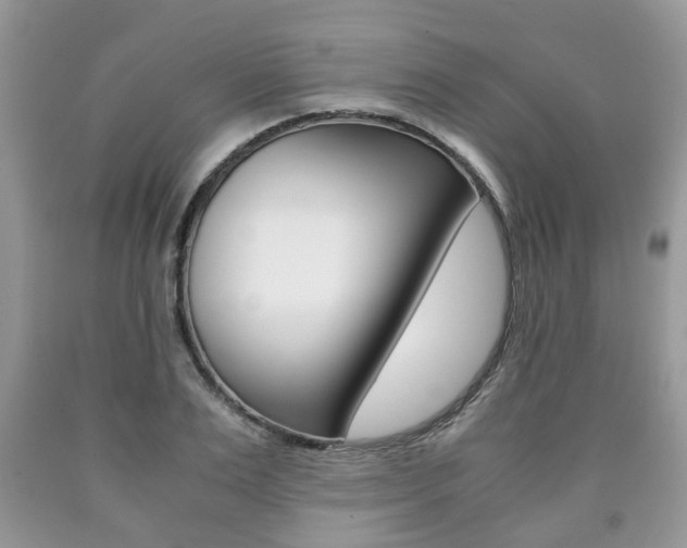 X0000090760983200707201050