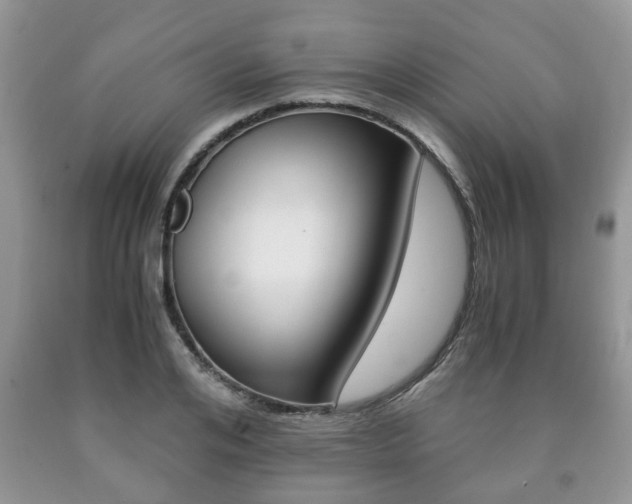 X0000090760984200707201050