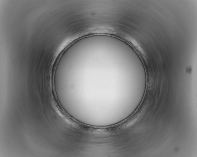 X0000090760986200707201050
