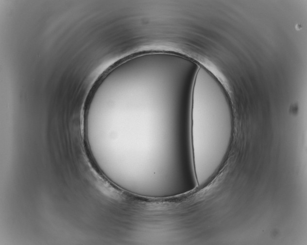 X0000090760988200707201050