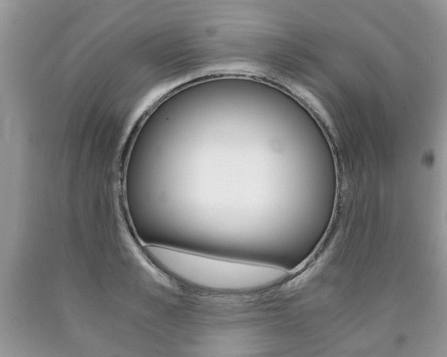 X0000090760989200707201050