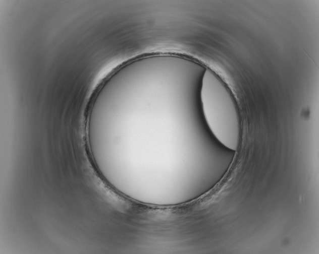 X0000090760990200707201050
