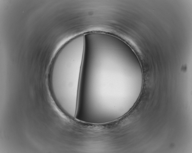 X0000090760991200707201050