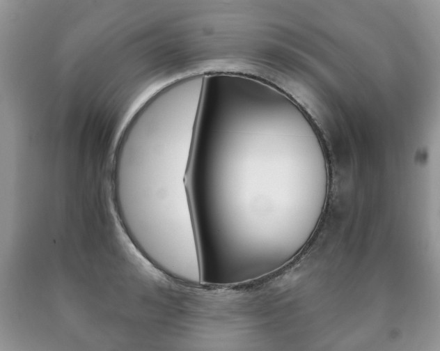 X0000090760992200707201050