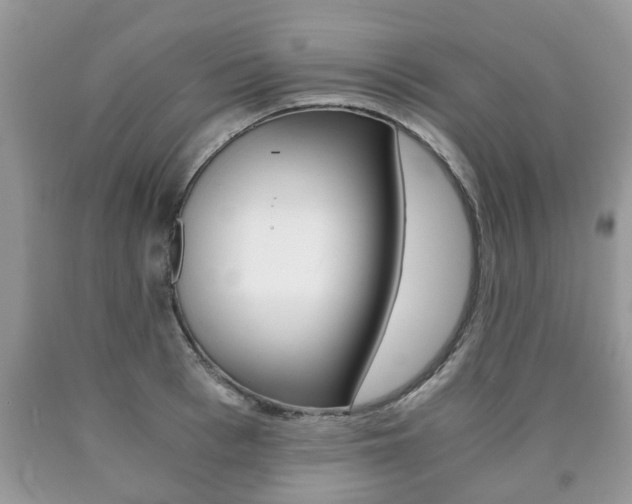 X0000090760993200707201050