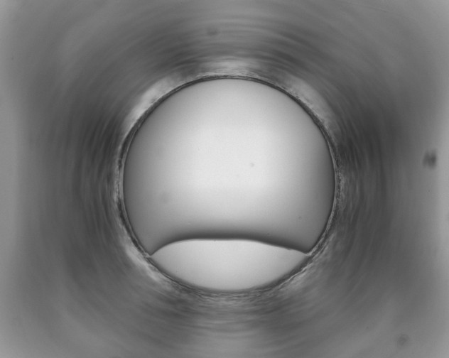 X0000090760994200707201050