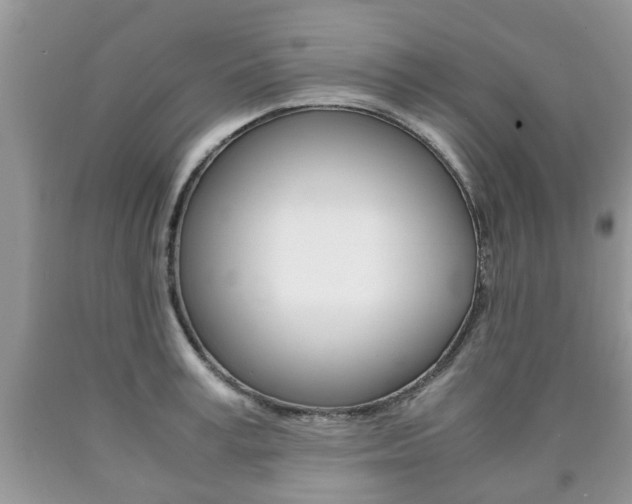 X0000090760995200707201050