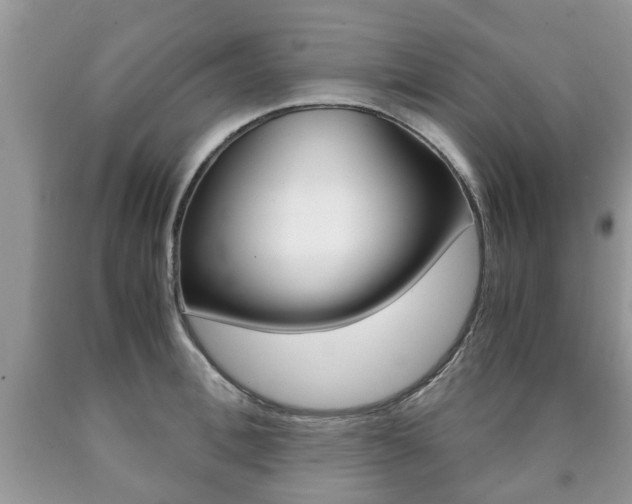 X0000090760996200707201050