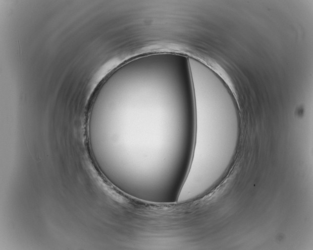 X0000090760997200707201050