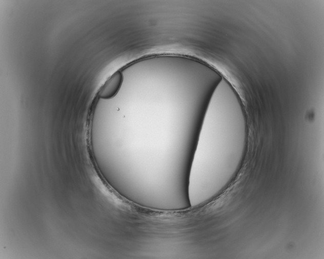 X0000090760998200707201050
