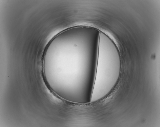 X0000090760999200707201050