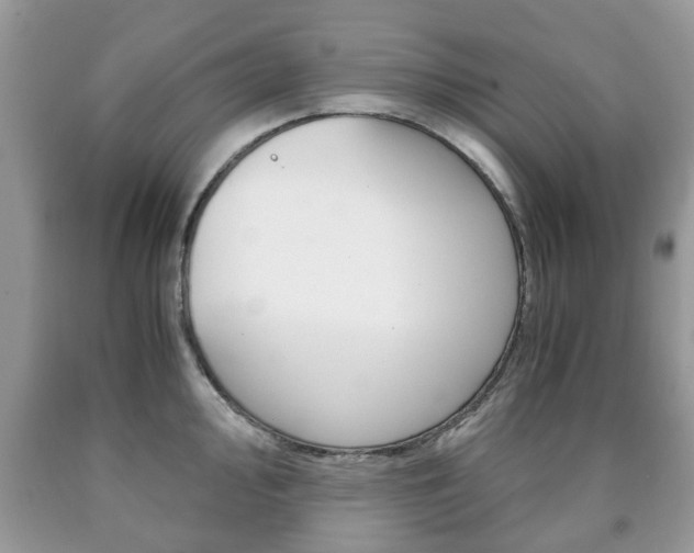 X0000090761000200707201050