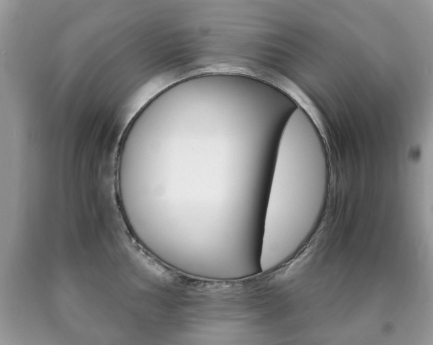 X0000090761002200707201050