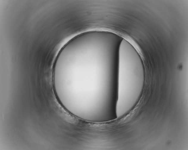 X0000090761004200707201050