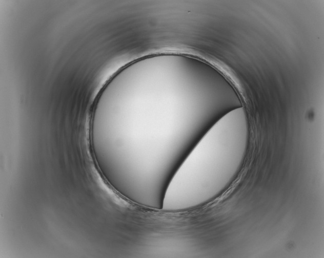 X0000090761006200707201050