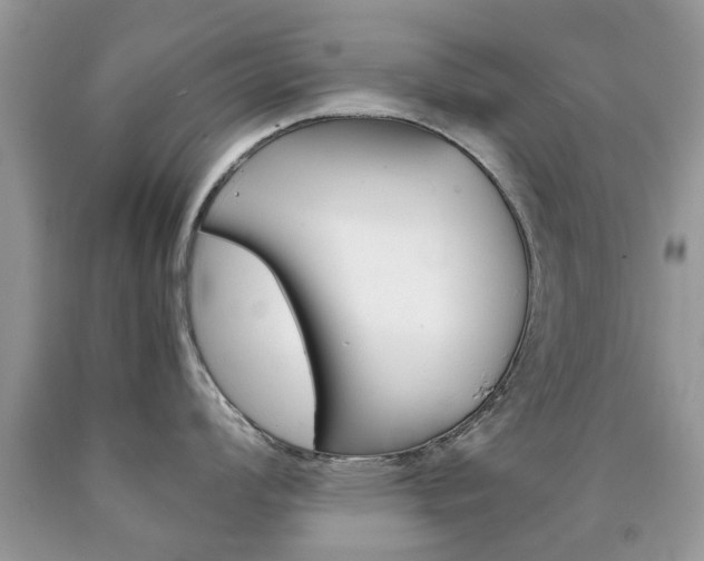 X0000090761008200707201050