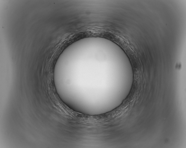 X0000090761009200707201049