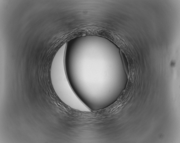 X0000090761010200707201049