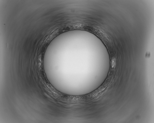 X0000090761011200707201049