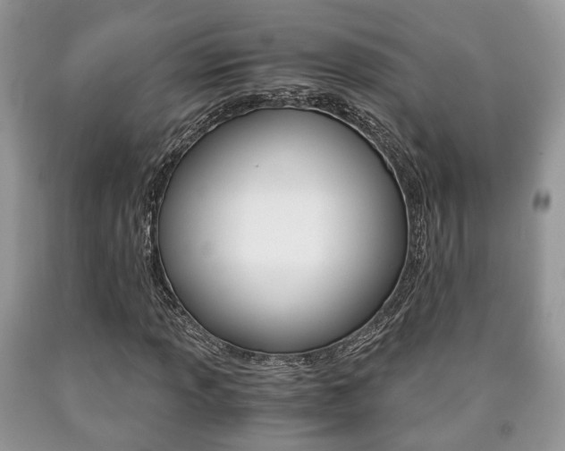 X0000090761013200707201049