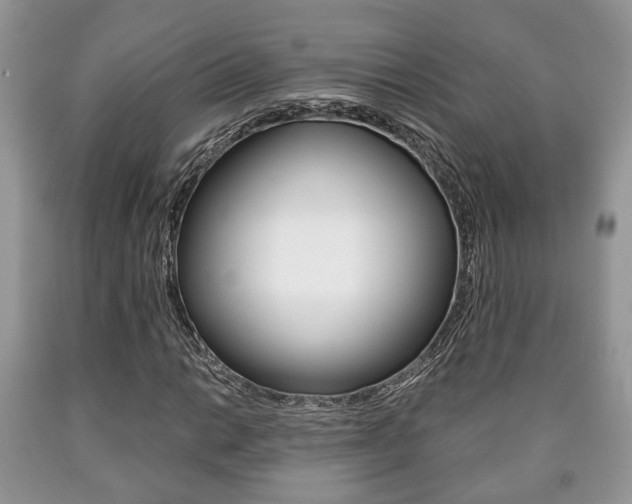 X0000090761014200707201049