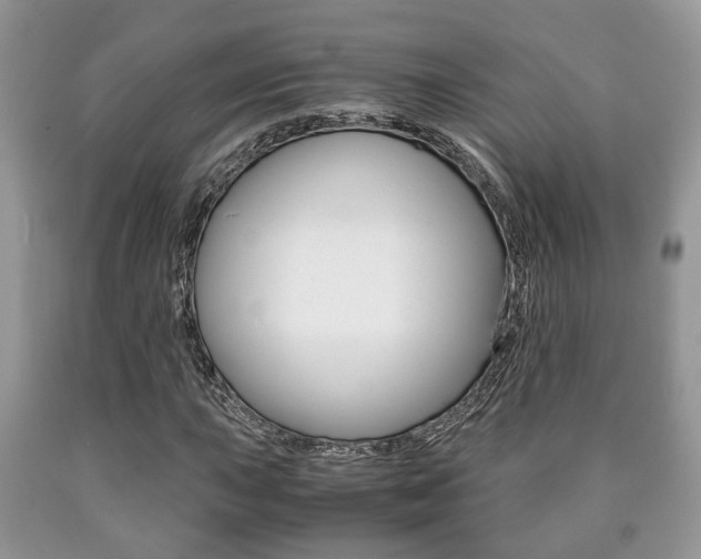 X0000090761015200707201049