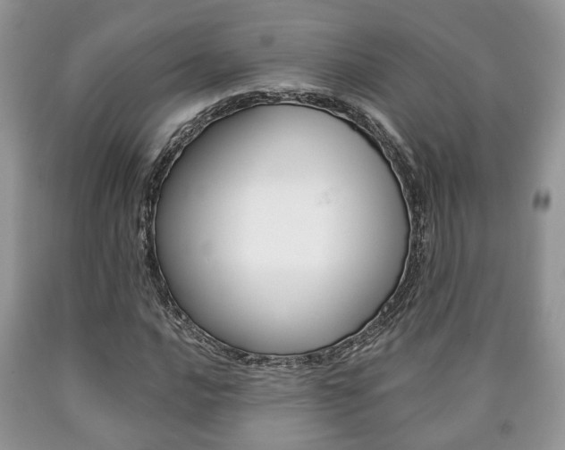 X0000090761016200707201049