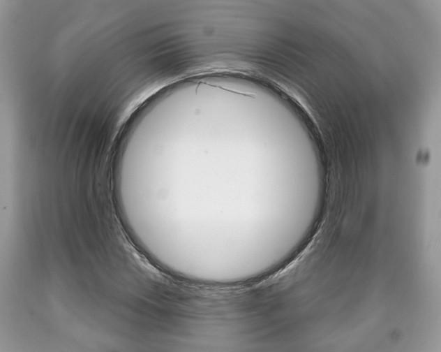 X0000090761018200707201049